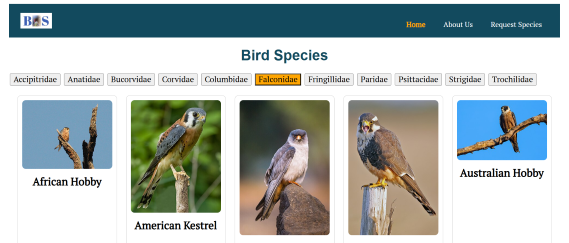Bird Species Site